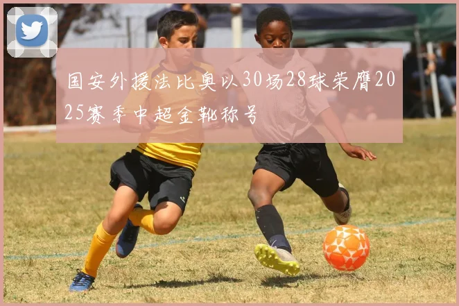 国安外援法比奥以30场28球荣膺2025赛季中超金靴称号